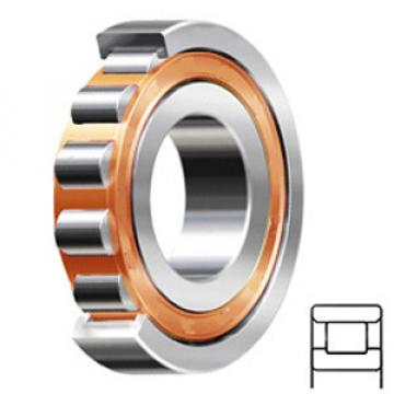 SKF N 203 ECP Cylindrical Roller Bearings