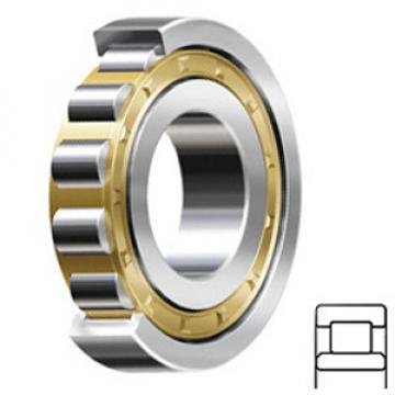 NSK NU211M Cylindrical Roller Bearings