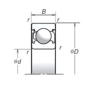 Bearing 6306T1XZZ NSK