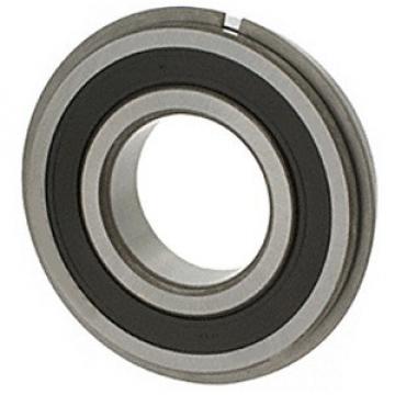 NSK 6004VVNR Single Row Ball Bearings