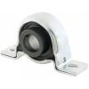 NTN ASRPP205-100 Pillow Block Bearings