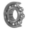 NSK 16021 Single Row Ball Bearings