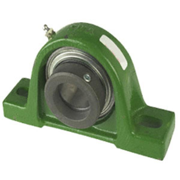 INA RASE60N Pillow Block Bearings #1 image