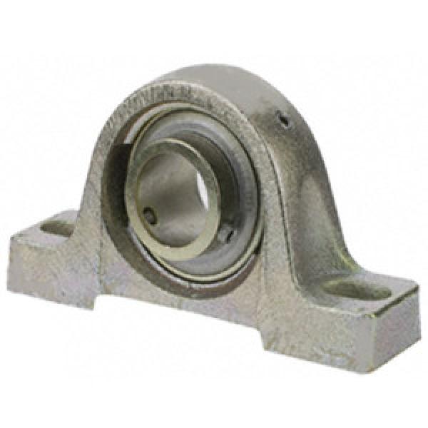 SKF ZPB012ZMG Pillow Block Bearings #1 image