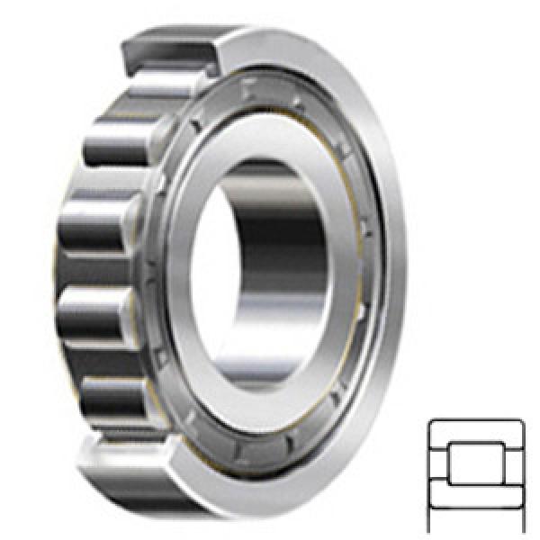 NTN NJ2210 Cylindrical Roller Bearings #1 image