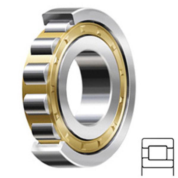 TIMKEN NJ219EMAC3 Cylindrical Roller Bearings #1 image