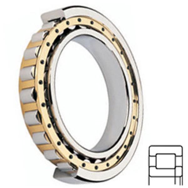 FAG BEARING NUP2328-E-M1 Cylindrical Roller Bearings #1 image