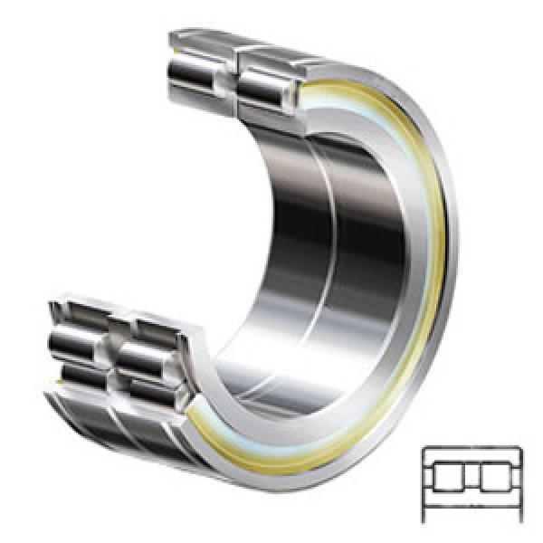 INA SL014936-C3 Cylindrical Roller Bearings #1 image