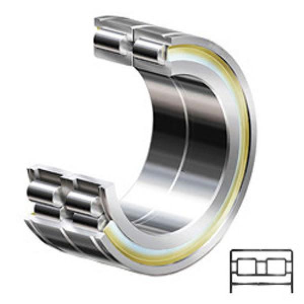 INA SL05026-E Cylindrical Roller Bearings #1 image